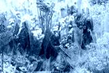 preview cold