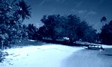 preview cold