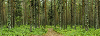 image to crop