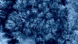 preview cold