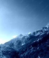 preview cold