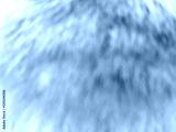 preview cold