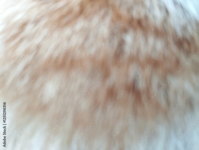 image to crop