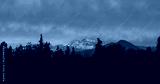 preview cold