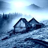preview cold