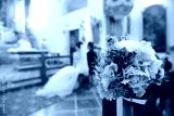 preview cold