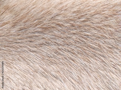 image to crop