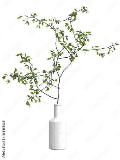 image to crop