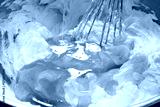 preview cold