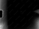 preview bw