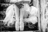 preview bw