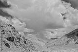 preview bw