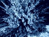preview cold
