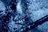 preview cold
