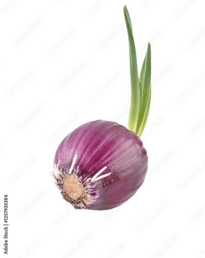 image to crop