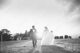 preview bw