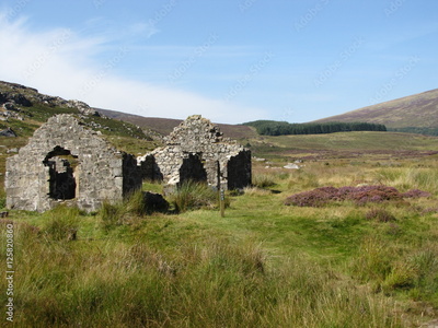 image to crop
