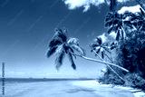 preview cold
