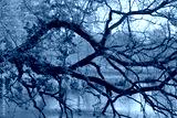 preview cold