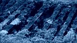 preview cold