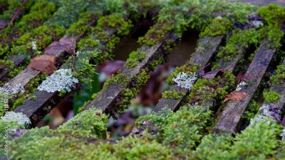 image to crop