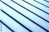 preview cold