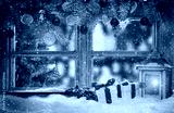 preview cold