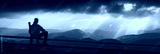preview cold