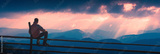 preview original
