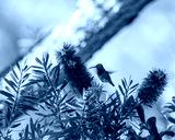 preview cold