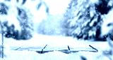 preview cold