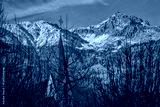 preview cold