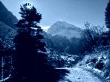 preview cold