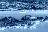 preview cold