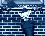 preview cold