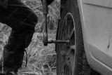 preview bw
