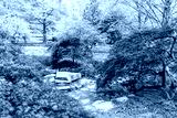 preview cold