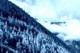 preview cold
