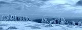preview cold