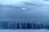 preview cold
