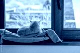 preview cold