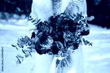 preview cold