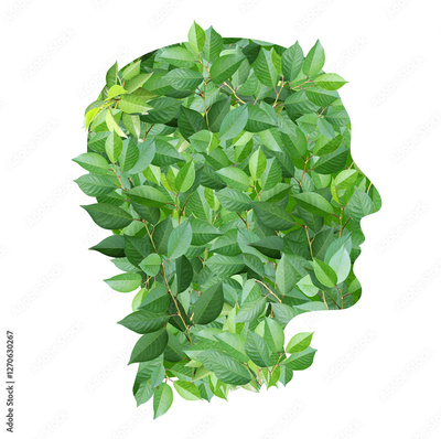 image to crop