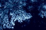 preview cold