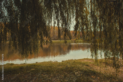 image to crop
