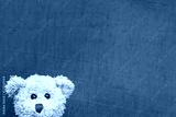preview cold