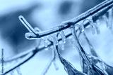 preview cold