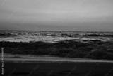 preview bw