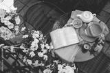 preview bw