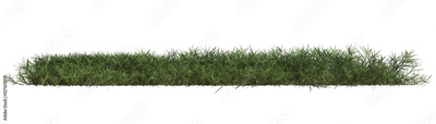 image to crop